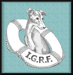 Italian Greyhound Rescue Foundation, Inc.