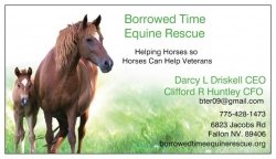 Borrowed Time Equine Rescue