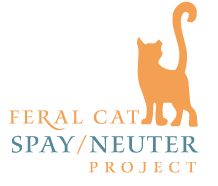 Feral Cat Spay/Neuter Project