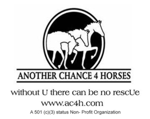 Another Chance 4 Horses, Inc.
