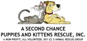 A Second Chance Puppies and Kittens Rescue