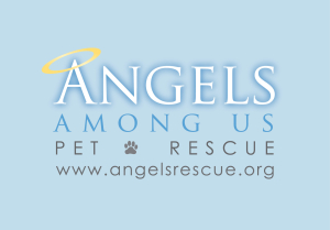 Angels Among Us Pet Rescue