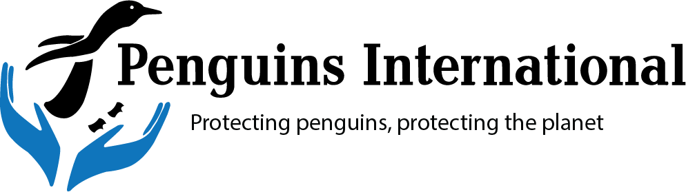 Penguins International