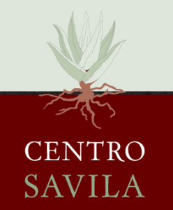 The Savila Collaborative d.b.a. Centro Savila