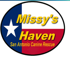 Missys Haven Caine Rescue