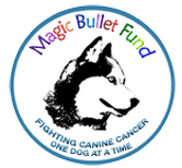 Magic Bullet Fund