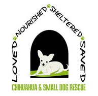 Chihuahua & Small Dog Rescue, Inc.
