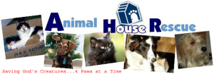 Animal House Rescue