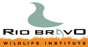 Rio Bravo Wildlife Institute