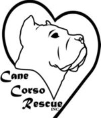 Cane Corso Rescue Inc